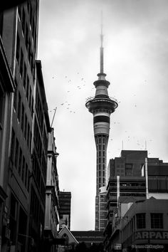 a black and white photo of the sky tower