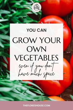 tomatoes with the words you can grow your own vegetables even if you don't have much space