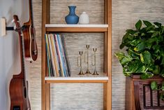 a shelf with various musical instruments on it and a potted plant next to it