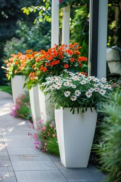 White Mansion, Popular House Plants, Best Physique, Garden Vases, House Outside Design, Attract Butterflies