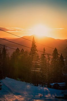 the sun is setting over some trees in the snow