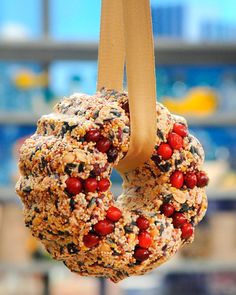 an image of birdseed wreaths hanging on a string with the words pinterest