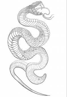 a black and white drawing of a snake