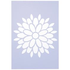 a white flower on a light blue background