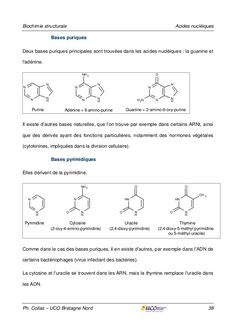 an image of the structure and properties of benzine