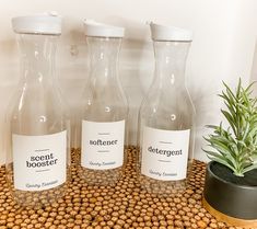 three empty water bottles sitting next to a potted plant