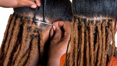 DETAILED TEMPORARY DREADLOCKS EXTENSIONS TUTORIAL | Daixidreadology human hair Locs - YouTube Braided Loc Updo, Black Hair Locks, How To Do Dreadlocks, Artificial Dreadlocks, How To Start Dreadlocks, Black Cornrow Hairstyles, Temporary Dreads, Dreads Black Women, Faux Dreadlocks