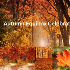 an autumn equinnox celebration with leaves on the ground and trees in the background