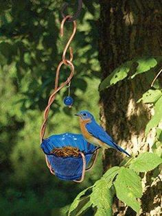 a blue bird sitting on top of a tree branch next to a bag filled with birdseed