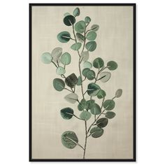 a green plant with leaves in a black frame on a white wall above it is a beige background