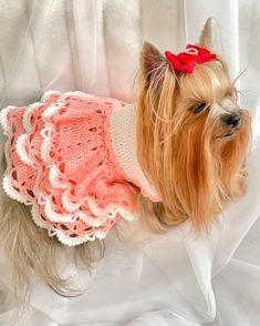 a small dog wearing a pink dress on top of a white chair with a red bow in it's hair