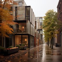 an empty city street in the fall with leaves on the ground and buildings lining both sides