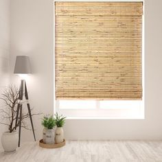 a bamboo blinds in a white room with potted plants on the floor and a lamp next to it