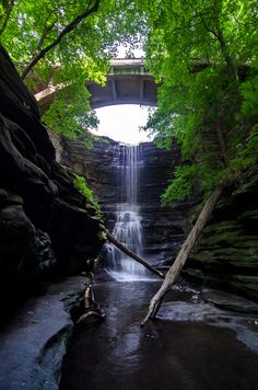 a waterfall in the middle of a forest with a bridge above it