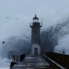 the lighthouse is surrounded by huge waves and birds