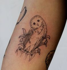 an owl sitting on a branch with leaves around it