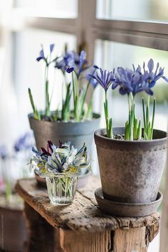 three potted flowers sitting on top of a wooden table next to a glass vase