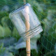 a glass jar with a wooden stick sticking out of it sitting on top of a green net