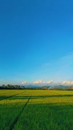 a green field with mountains in the distance under a blue sky and clouds above it