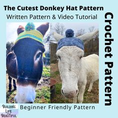 two pictures of cows wearing knitted hats with the words crochet pattern written below