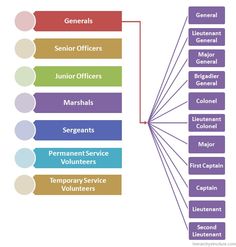 a diagram that shows the different types of service