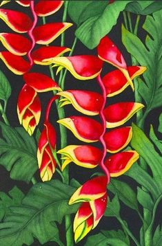 a painting of red and yellow flowers with green leaves on a black background in pastel pencils