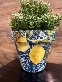 a potted plant sitting on top of a table