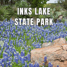 Plan your trip to Inks Lake State Park with Enchanting Texas Travel. things to do in Inks Lake State Park texas | what to do in Inks Lake State Park TX | hiking in Inks Lake State Park | kayaking in Inks lake state park | best hikes in Inks Lake State Park in texas travel guide | things to do in central texas | Inks Lake State Park what to do | Inks Lake State Park attractions + activities | bluebonnets in Inks Lake State Park | Inks Lake Texas | Inks Lake TX | Devil's Hole Inks Lake swimming Dirt Race Track, How To Catch Catfish, Outdoor Movie Theater, Lake Texoma, Concession Stands