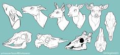 various animal heads drawn in black and white on a blue background