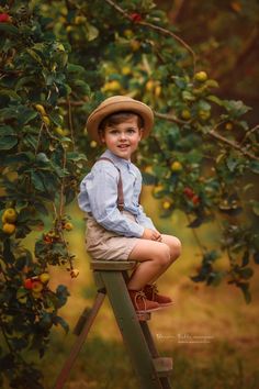 a young boy sitting on top of a wooden stool in front of an apple tree