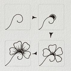 four different types of flowers drawn on paper