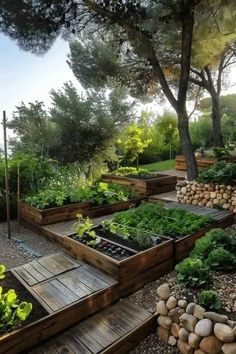 an outdoor garden with lots of plants and rocks on the ground, surrounded by trees