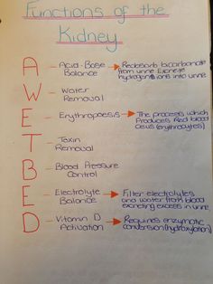 a piece of paper with writing on it that says functions of the kidney and below