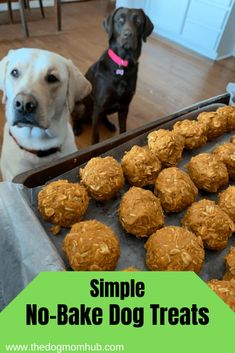 two dogs sitting in front of a baking pan full of no bake dog treats