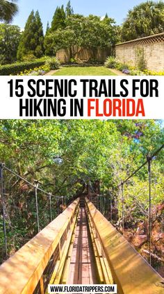 15 Scenic Trails for Hiking in Florida Florida Hiking, Hiking In Florida, Florida National Parks, Florida Getaway