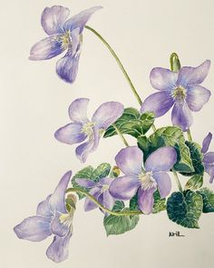 a painting of purple flowers with green leaves