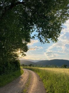 a dirt road with trees and grass on both sides leading to a grassy field in the distance