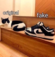 a black and white cat sitting on top of a wooden step next to a pair of shoes