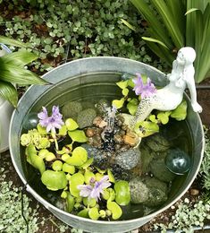 a metal bowl filled with lots of water and plants next to some green leaves on the ground