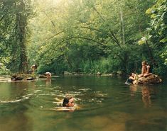 people swimming in a river surrounded by trees