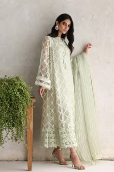 Party Wear Salwar Kameez Long Kurti Patterns, Pakistani Dresses Party, Embroidered Organza Dress, Designer Salwar Kameez, Pakistani Dresses Online, Kameez Designs, Organza Shirt, Lace Dress Design, Pakistani Party Wear