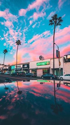 cars parked in front of a retail store with palm trees on the side of the road