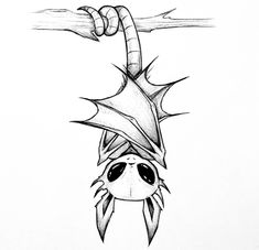 a drawing of a bat hanging upside down