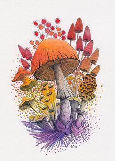 an ink drawing of mushrooms and flowers