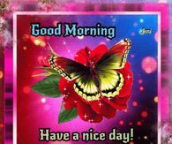 good morning have a nice day card with butterfly on red flower and pink background,