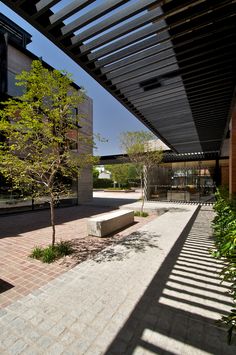 an empty courtyard with benches and trees in the foreground, under a pergolated roof