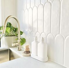 a bathroom counter with soap dispensers and a plant