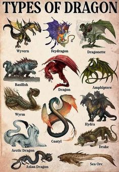 an image of different types of dragon