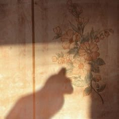 a shadow of a cat on a wall with flowers painted on the wall behind it