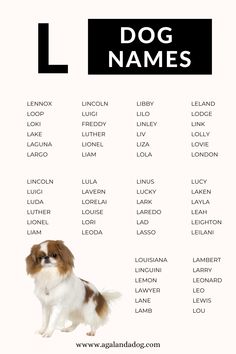 List of L Dog Names. Puppies Names, Puppies Names Female, Pun Names, Snapchat Names, Family Binder, Sweet Dog